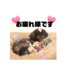 アロベルスタンプ（個別スタンプ：7）
