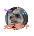 アロベルスタンプ（個別スタンプ：10）