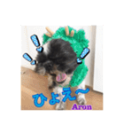 アロベルスタンプ（個別スタンプ：11）