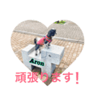 アロベルスタンプ（個別スタンプ：12）