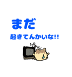たこにゃきくんデカ文字大阪弁（個別スタンプ：6）