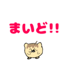 たこにゃきくんデカ文字大阪弁（個別スタンプ：9）
