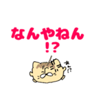 たこにゃきくんデカ文字大阪弁（個別スタンプ：17）