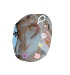ヤンチャな茶トラの日常（個別スタンプ：4）