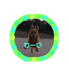 陽新（個別スタンプ：2）