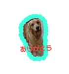 陽新（個別スタンプ：3）