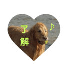 陽新（個別スタンプ：6）