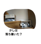 猫屋敷 わさりりあん～③（個別スタンプ：26）