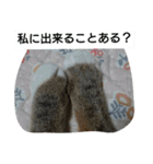 猫屋敷 わさりりあん～③（個別スタンプ：28）