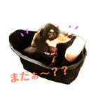 てつこスタンプ（個別スタンプ：2）