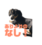 てつこスタンプ（個別スタンプ：4）