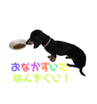 てつこスタンプ（個別スタンプ：6）
