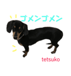 てつこスタンプ（個別スタンプ：11）