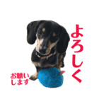 てつこスタンプ（個別スタンプ：13）