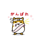 爽快ハムちゃん（個別スタンプ：29）