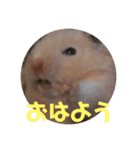 ゆかいなハムスターぷにさんのスタンプ（個別スタンプ：5）