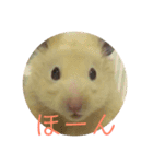 ゆかいなハムスターぷにさんのスタンプ（個別スタンプ：6）