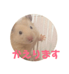 ゆかいなハムスターぷにさんのスタンプ（個別スタンプ：18）