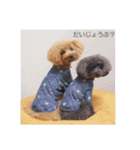 トイプードルの柚子と杏子♡（個別スタンプ：4）