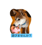 太郎のスタンプです（個別スタンプ：2）