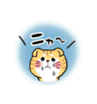 かわいいネコ◇日常生活編◇(マンチカン)（個別スタンプ：13）