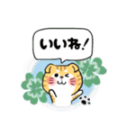 かわいいネコ◇日常生活編◇(マンチカン)（個別スタンプ：21）
