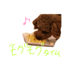 アンとあずき 2（個別スタンプ：1）