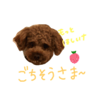 アンとあずき 2（個別スタンプ：5）