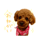 アンとあずき 2（個別スタンプ：7）
