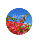 Holiday in hawaii（個別スタンプ：4）
