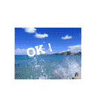 Holiday in hawaii（個別スタンプ：7）