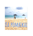 Holiday in hawaii（個別スタンプ：24）
