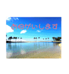 Holiday in hawaii（個別スタンプ：38）