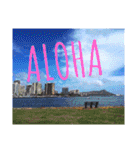 Holiday in hawaii（個別スタンプ：39）