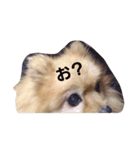あゆちゃこ（個別スタンプ：15）
