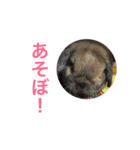 マロ会話（個別スタンプ：7）