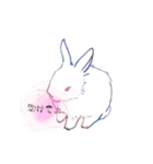 寂しいうさぎ（個別スタンプ：1）