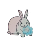 寂しいうさぎ（個別スタンプ：3）