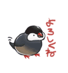 ゆるぐだ文鳥（個別スタンプ：6）