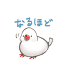 ゆるぐだ文鳥（個別スタンプ：14）