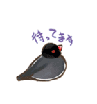 ゆるぐだ文鳥（個別スタンプ：19）