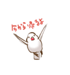 ゆるぐだ文鳥（個別スタンプ：20）