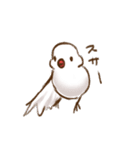 ゆるぐだ文鳥（個別スタンプ：21）