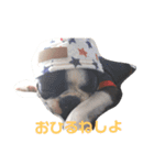 e'boston（個別スタンプ：5）