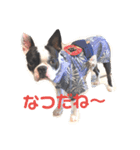 e'boston（個別スタンプ：8）