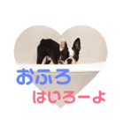 e'boston（個別スタンプ：11）