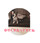 e'boston（個別スタンプ：12）