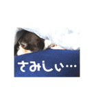 e'boston（個別スタンプ：13）