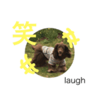ショコラのつぶやき 漢字⇆英語 Ver.1（個別スタンプ：2）