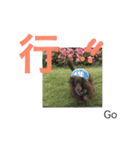 ショコラのつぶやき 漢字⇆英語 Ver.1（個別スタンプ：7）